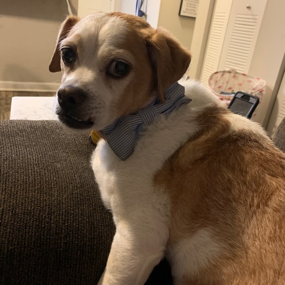 Meet your Posher, Courtney - Picture 2 of 2